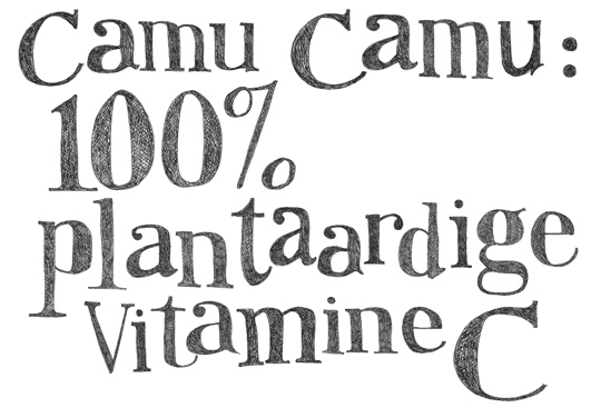 Topkaart Camu 2